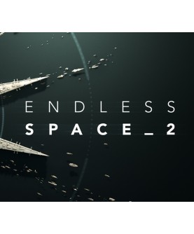 Endless Space 2 Steam Key 